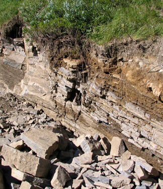 Omaggio a Francesco Biancofiore, padre della paletnologia pugliese