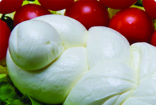 Treccia di mozzarella