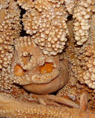 Uomo di Altamura: Ciccillo resterà lì dov’è