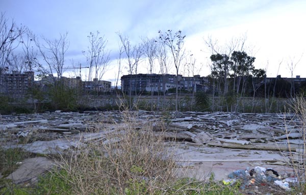asi-foggia