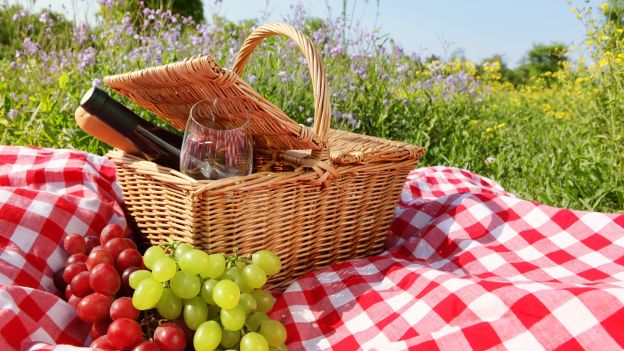 picnic