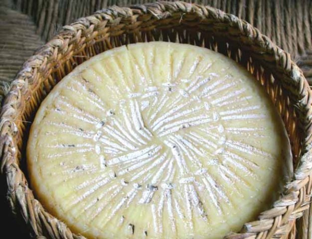 Canestrato-Pugliese