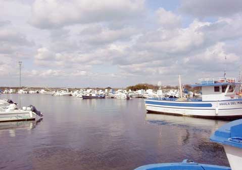 darsena san cataldo