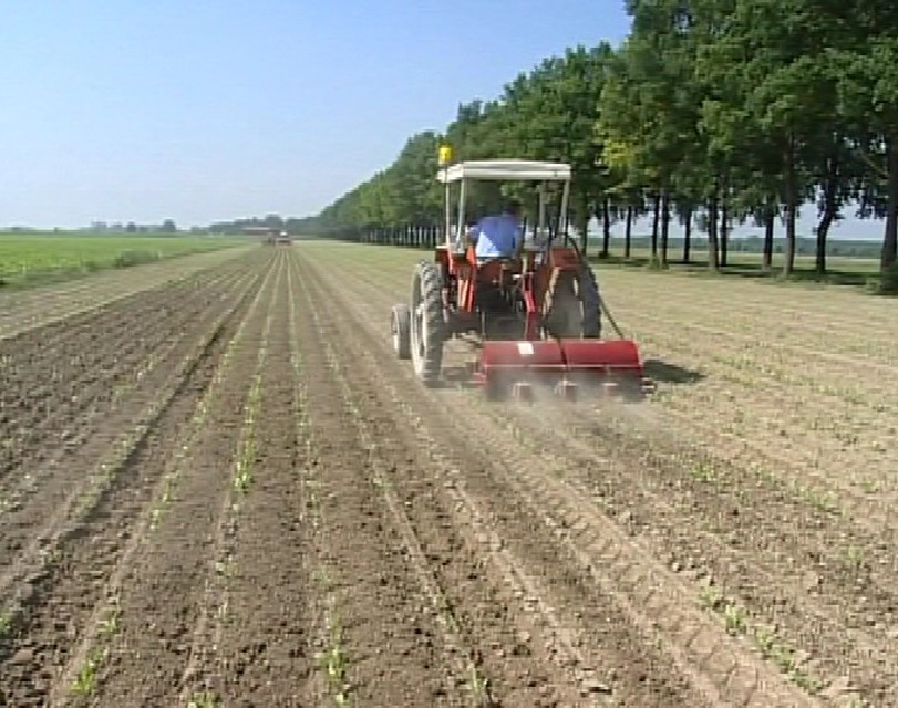 gasolio agricolo-2-2