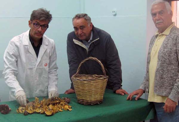 controllo funghi Asl 800