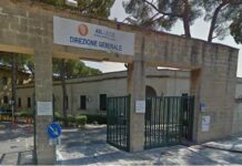 Dengue autoctona nel Salento: scattano le disinfestazioni nei Comuni interessati