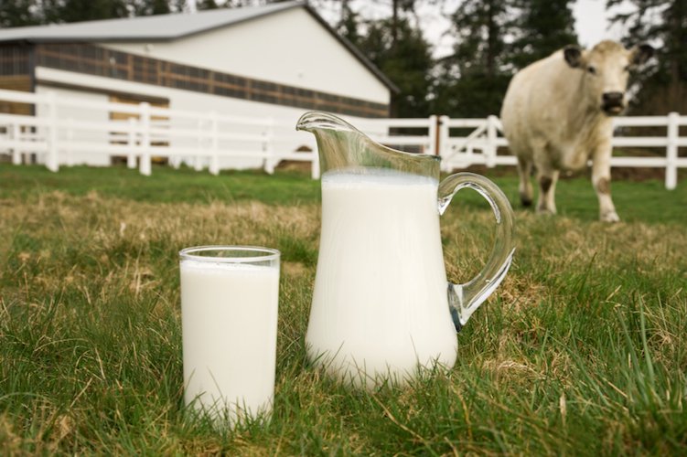 latte-prezzo-coldiretti