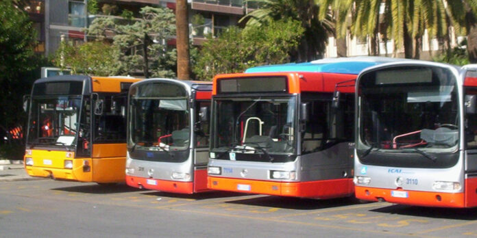 autobus_amtab