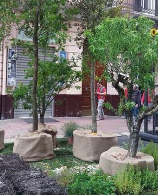 “Primavera Mediterranea”, un angolo di verde nel cuore murattiano di Bari