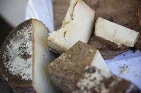 pecorino