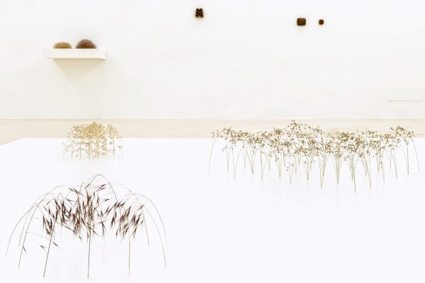Fondazione Museo Pino Pascali_Premio Pino Pascali 2016