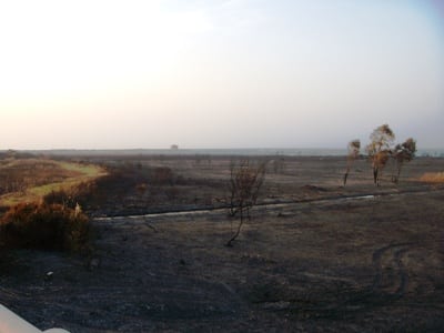 torreguaceto