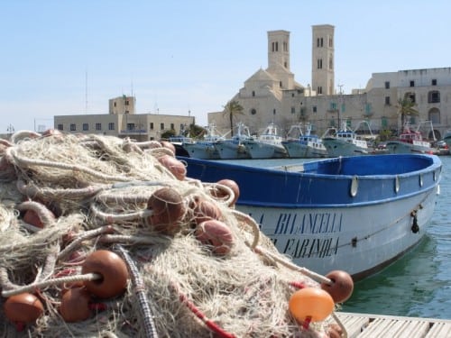 porto pesca molfetta