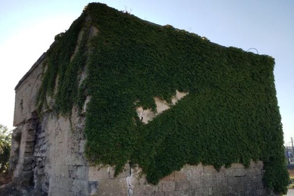 De_Gennaro_
