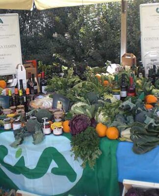 Caporalato – Cia Taranto: bene gli arresti, ma non criminalizziamo tutti gli agricoltori