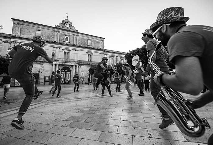 foto palmiotto