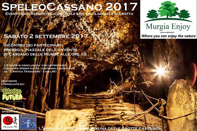 Locandina 2017