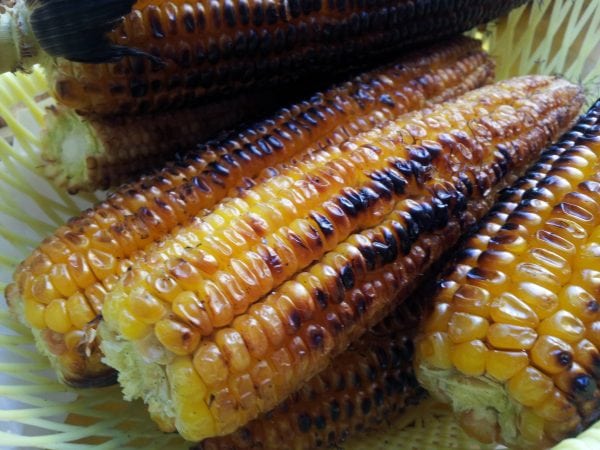 pannocchie
