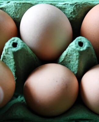 Fipronil: continuano i sequestri e le segnalazioni di allerta