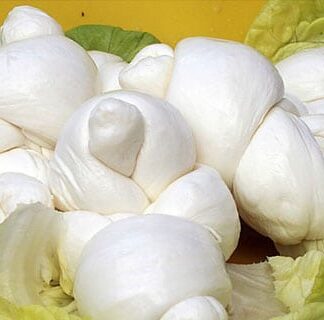 Mozzarella, Damascelli presenta una mozione per il riconoscimento DOP a Gioia del Colle