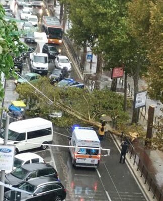 Bari, albero abbattuto dal vento cade su un’auto, tanta paura ma tutti illesi