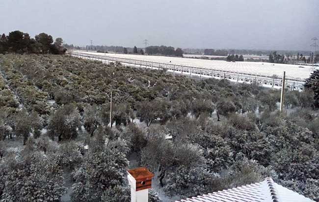 Castellaneta-campagne-sotto-la-neve