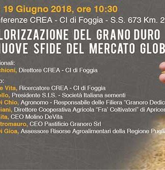 Futuro e sfide del grano pugliese. Una tavola rotonda a Foggia promossa dalla Granoro