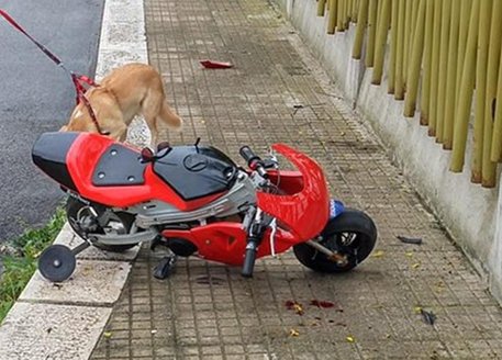 INCIDENTE CON LA MINIMOTO, MUORE A NOVE ANNI