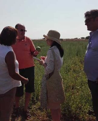 La FAO promuove la Puglia: straordinaria ricchezza di biodiversità