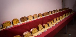 Mastro Panettone, a Turi si incorona il miglior panettone artigianale d’Italia