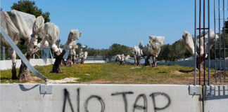 Manifestazione No Tap, in mille sfilano contro il gasdotto