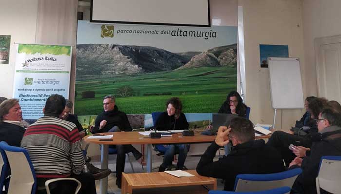 parco_alta_murgia_cinghiali