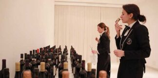 Bibenda 2019. I Cinque Grappoli di Puglia: il premio a 27 vini regionali