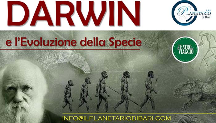 darwin2019