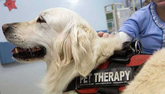 corso_pet-therapy