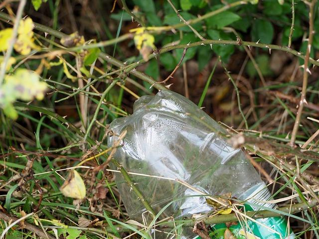 RifiutiInMare_BottigliediPlastica Rifiuti In Mare Bottiglie di Plastica