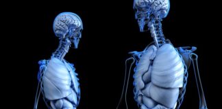 Tumore Colon Retto - Ricerca dell'IRCCSSanGiovanniRotondo