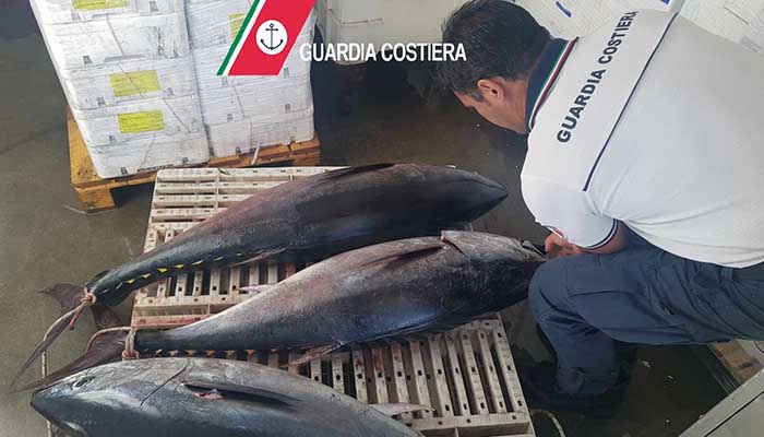 sequestro_tonno_guardia_costiera