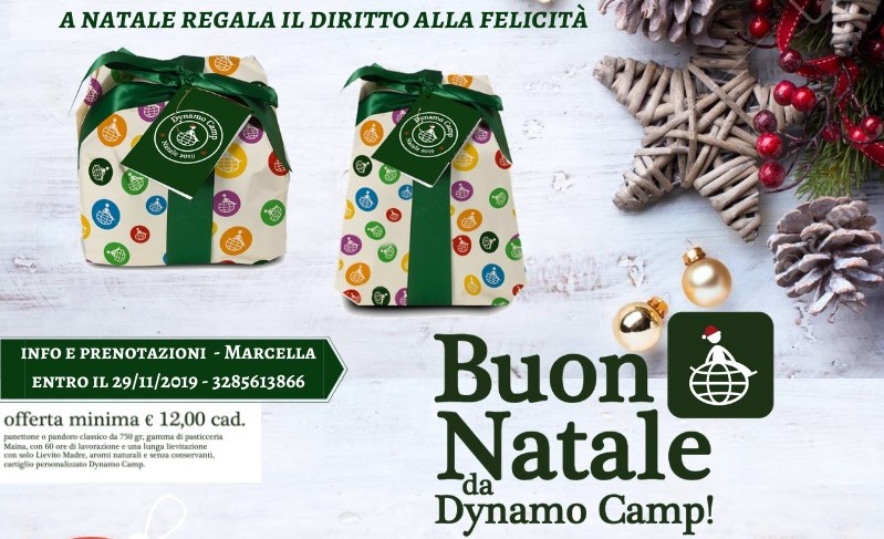 Locandina DynaKismet
