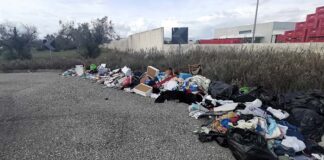 Rifiuti nelle campagne, Gatta: “Servono nuovi fondi per i Comuni”