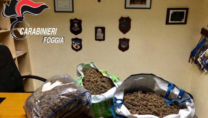 sequestro_droga_carabinieri