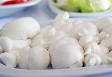 Gioia Festival 2026 al via questa sera: a Gioia del Colle il dibattito sul futuro della Mozzarella DOP