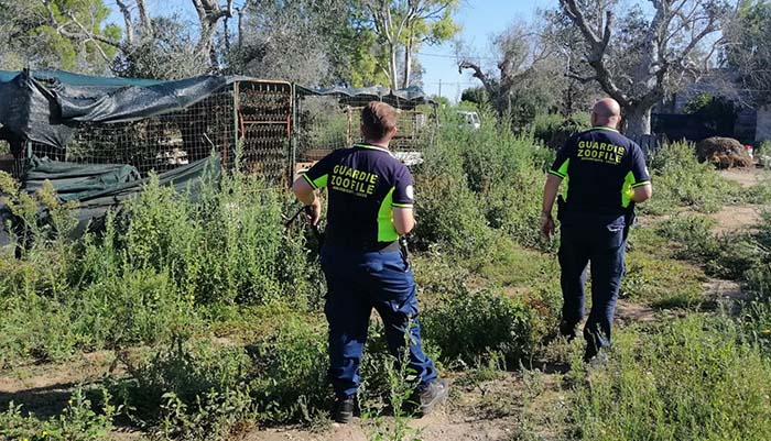 guardie_zoofile_nardo