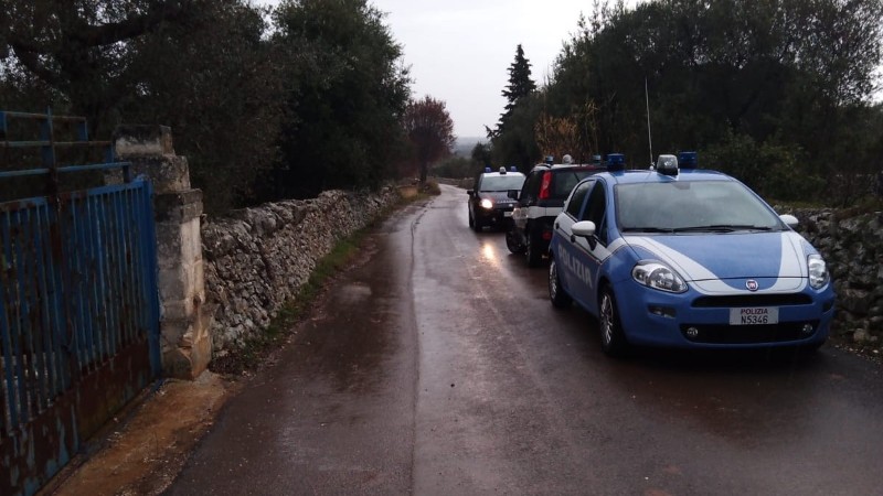ulivi_abattuti_xylella800x450