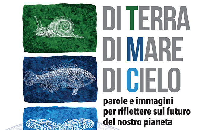 70x100 CMT galatina