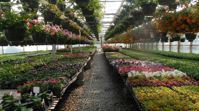floricoltura660x368