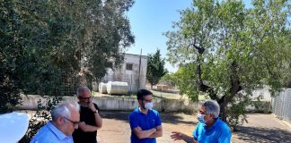 Francavilla Fontana, via libera della Asl Brindisi per il Canile Sanitario