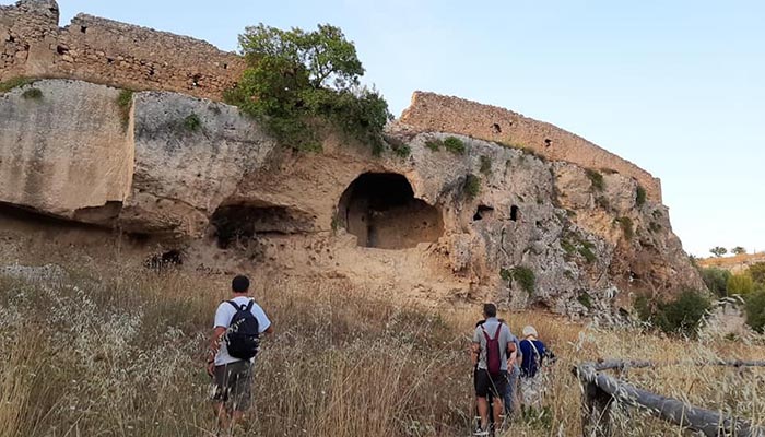gravina