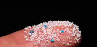 Ricercatori Usa: sempre più spesso microplastiche presenti anche nel corpo umano