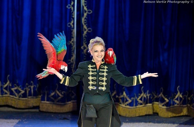 circo_orfei
